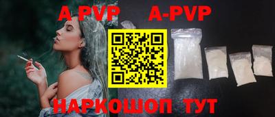 гашик Тверь