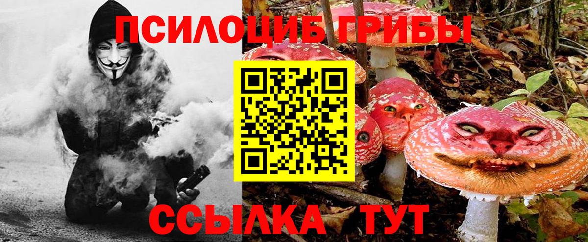 Свободный  Галлюциногенные грибы мухоморы  Вход с VPN 