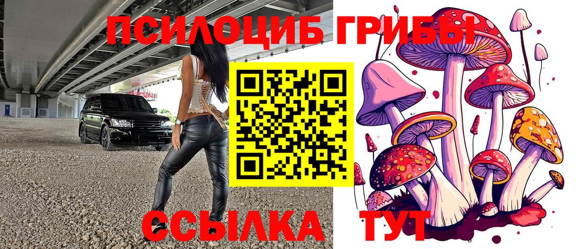 Галлюциногенные грибы ЛСД Свободный